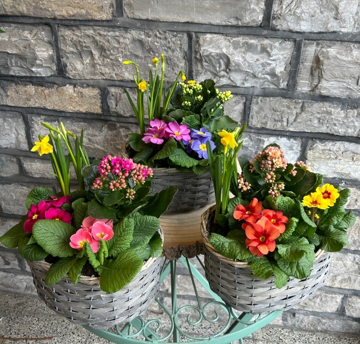 Flowering planted Basket